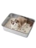Feandrea Katzentoilette Boxal in Silbern - (B)50 x (H)15 x (T)35 cm