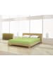 Mr.Sandman Spannbetttuch Elastan classic 140-160 x 200-220 cm in kiwi