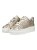 Nero Giardini Sneaker in Champagner