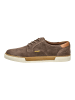 Camel Active Halbschuhe in Taupe