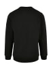 F4NT4STIC Sweatshirt I BELIEVE UFO Alien Raumschiff Retro in schwarz