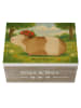 Mr. & Mrs. Panda Geschenkbox Meerschweinchen Weisheit Design ohn... in Weiß