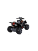 Wisam® Elektro Quad für Kinder Klein 2x45W Quad