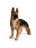 relaxdays Gartendeko Figur Hund XXL "Schäferhund" - (B)40 x (H)114 x (T)91 cm