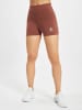 adidas Shorts in earth brown