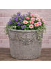 AltoBelli Blumentopf SILVI Zement Grau 17x14 cm