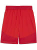 Puma Sporthose "TeamFinal Shorts" in Rot