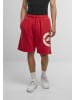 Ecko Unltd. Sweat Shorts in ski patrol