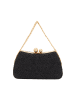 faina Women Minaudière in Black