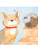 Mr. & Mrs. Panda Leckerli Glas Boston Terrier Moment ohne Spruch in Grau Pastell