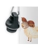 Mr. & Mrs. Panda Sportflasche Sternzeichen Widder ohne Spruch in Weiß