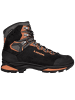 LOWA Wanderschuhe CAMINO EVO GTX in Schwarz
