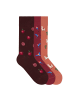 von Jungfeld Motivsocken Seasonal Icon Bundle in Pomegranate/Parrot/Lama