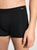 Calida New Boxer in schwarz