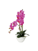 Creativ green Deko-Orchidee Phalaenopsis in lila