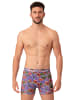 Muchachomalo 2er-Set: Boxershorts in Multicolor/Pink/Green/Purple