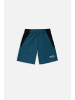 Lemon explore Shorts für Jungen in türkis