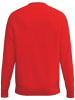 erima Kinder Sweatshirt "Cmpt Wings Sweatshirt" in Rot