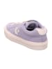 Converse Sneaker Low in Lila