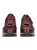 Gabor Sneaker Merlot