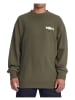 DC Shoes Trust Us Sweatshirt in Grün