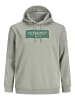 JACK & JONES PLUS Kapuzenpullover in Seagrass