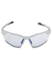 Alpina Ski-Sonnenbrille in grau