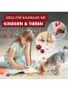 Clean Maxx Polster- & Teppichreiniger 400W anthrazit/rot  grau