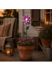 MARELIDA LED Solar Gartenstecker Blume Garten Blumenstecker H: 49,5cm in lila