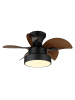 Globo lighting Deckenventilator "KARI" in black
