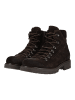 Nero Giardini Stiefelette in Dunkelbraun