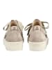 Gabor Sneaker in Braun/Grau