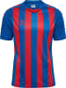 Hummel T-Shirt Hmlcore Herren in TRUE BLUE/TRUE RED