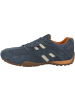 Geox Sneaker low U Snake A in blau