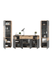 xonox.home Wohnkombination  (B/H/T: 344x200x40 cm) in Nox Oak Nachbildung und Basalt grau