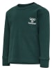 Hummel T-Shirt Hmlsami Lebensstil Jungen in DEEP TEAL