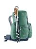 Deuter Gr_den 32 in Tannengrün212