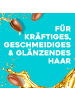 OGX Shampoo "Arga Oil Of Morocco" 6er-Pack (6x 385 ml)