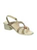 Think! Pumps VIVI in Taupe
