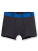 Sanetta Boxershort 2er Pack in Blau/Grau