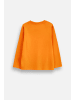 Coccodrillo Langärmliges Baumwoll-T-Shirt Halloween in orange