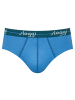 Sloggi Slip 2er Pack in Blau