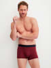 Calida New Boxer in garnet
