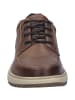 Josef Seibel Sneaker Clayton 01 in braun