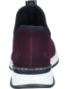 rieker Schnürstiefeletten in brombeer/brombeer/offwhite/schwarz