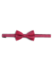 Andrew James Fliege in rot - 0001