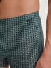 Calida New Boxer in dark glen