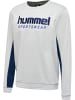 Hummel Sweatshirt Hmllgc Wesley Sweatshirt in HARBOR MIST