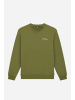Dickies Sweatshirt 10874075054422 Grün