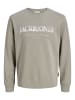 JACK & JONES PLUS Sweatshirt in Vetiver